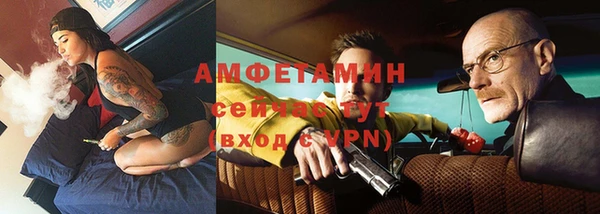 шишки Весьегонск